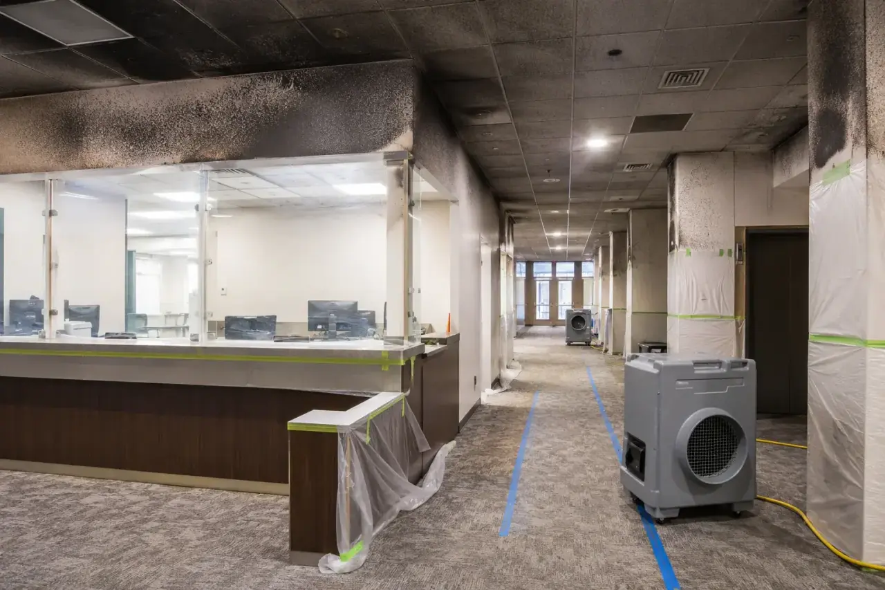 Municipal Building Restoration Maple inspection and documentation